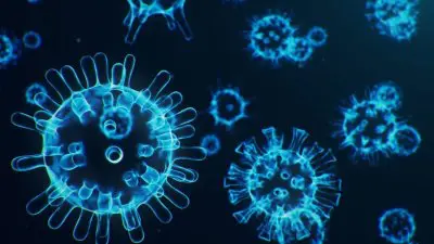covid germs