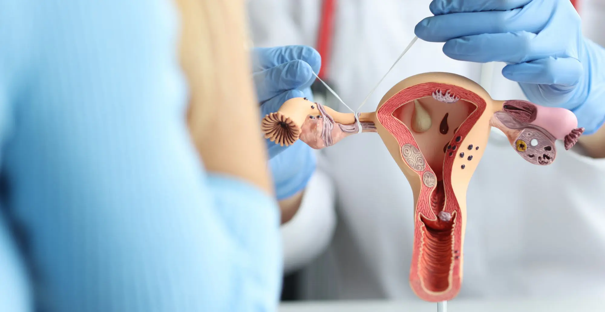 Gynaecological hero image